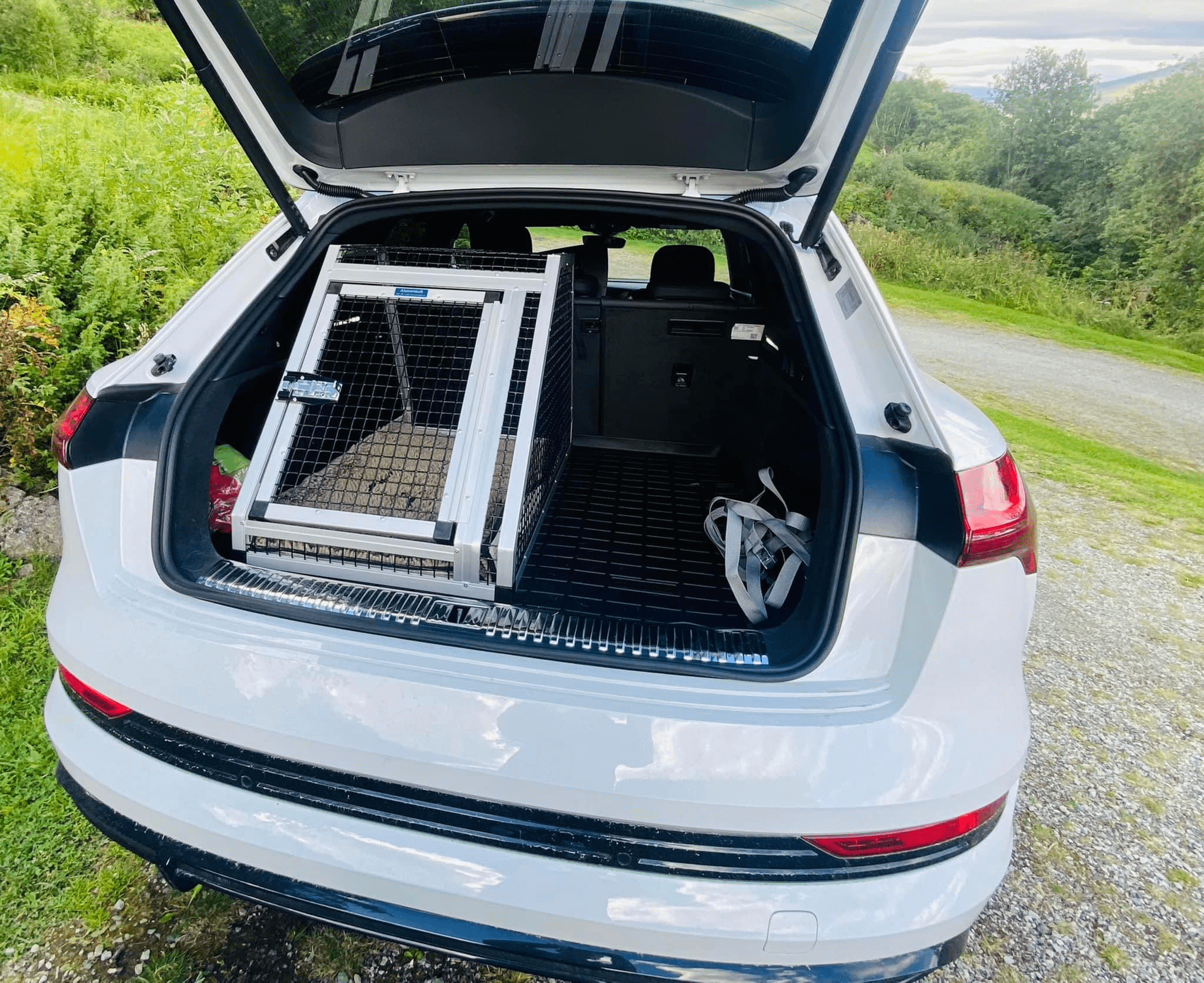 Audi-Etron.png Skreddersydd hundebur til Audi Etron - Image 1